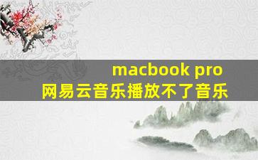 macbook pro网易云音乐播放不了音乐